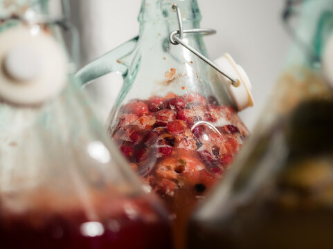 Fruits are fermenting in liquid during drinks making process 