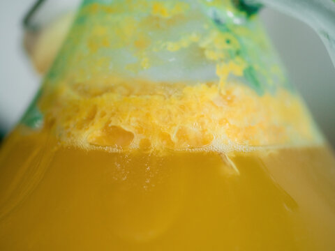 Mead making process 