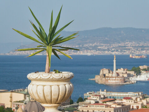 Potted green plant in decorative ornamental stone planter featuring scenic background view of Messina harbor and Madonnina monument in Sicily, Italy on sunny summer day.