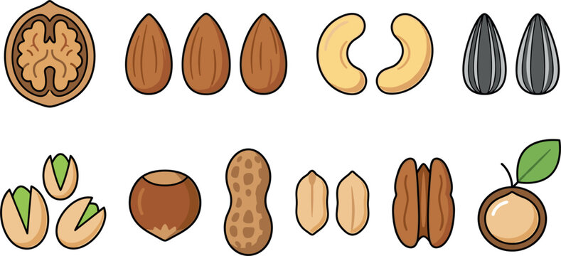 Nuts and seeds vector icon set featuring walnut almond cashew sunflower seed pistachio hazelnut peanut pecan and macadamia for healthy food design