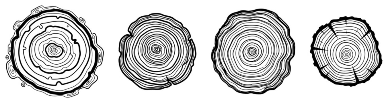 Tree ring cross sections showing annual growth patterns in natural wood engraving style
