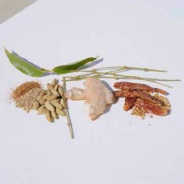 Assorted whole spices including ginger root and dried chili peppers arranged on a neutral surface for organic food branding and culinary design