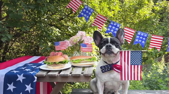 Cute dog at a patriotic outdoor celebration with American flags, burgers, and decorations. Symbolizes animal-friendly holidays. Perfect for American holidays and pet care content