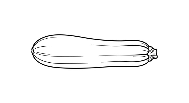 Vegetable illustration of a zucchini with black white line drawing zucchini plain background summer squash line art ingredient healthy cooking