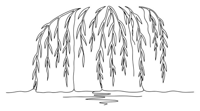 Weeping willow tree branches hanging over water in minimalist continuous line art style