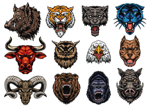 Animal heads in graphic art