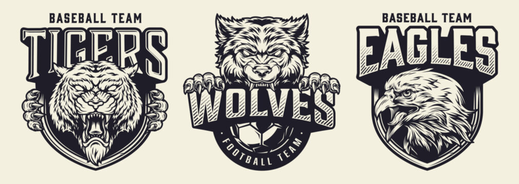 Three team logos are shown