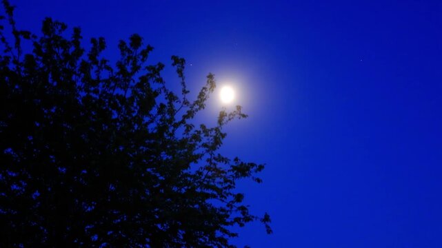 Moon on a twilight sky with landscape mountain silhouettes.