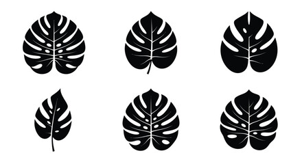 Fototapeta premium Monstera leaf silhouettes black and white botanical shapes on a white background