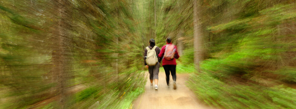 Hikers with Backpacks Hiking and Walking on Mountain Trail in Forest Wilderness Exploring Nature