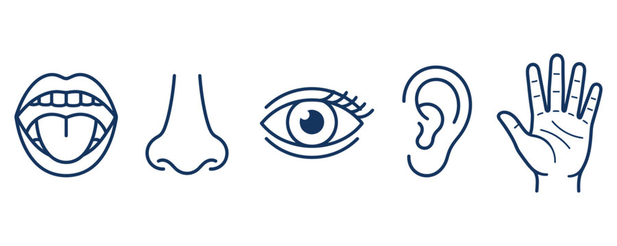 Human five senses icons set with mouth nose eye ear and hand art.
