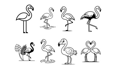 Naklejka premium Flamingo Vector Illustration Set on PNG Background, flamingo, flamingo bird, tropical bird, pink flamingo, exotic bird, wading bird, wildlife, nature, bird, tropical wildlife, aquatic bird, 