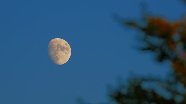 Moon on a twilight sky with landscape mountain silhouettes.