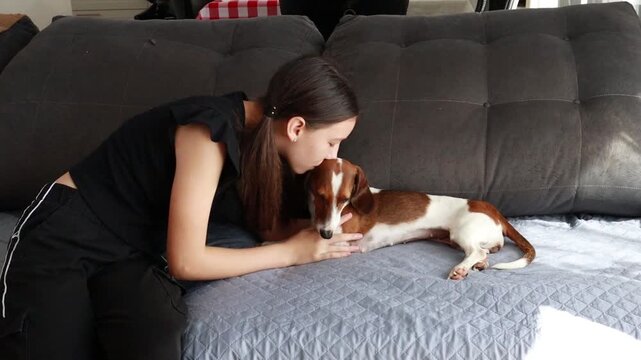 garota faz carinho em cachorro fofo 