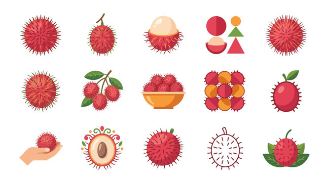Assorted rambutan fruit illustrations and hand-holding fruit.