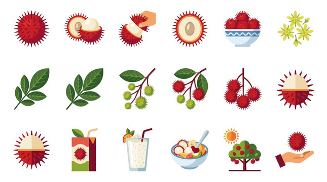 Rambutan fruit icon set including juice and dessert.