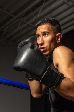 Side view of focused Hispanic boxer in fighting stance ready to compete
