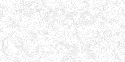 white land scape spiral area location and topographic map discovery. vector topo map design White background. topography world grid wave curve map geographic line texture. © haven lklkj11