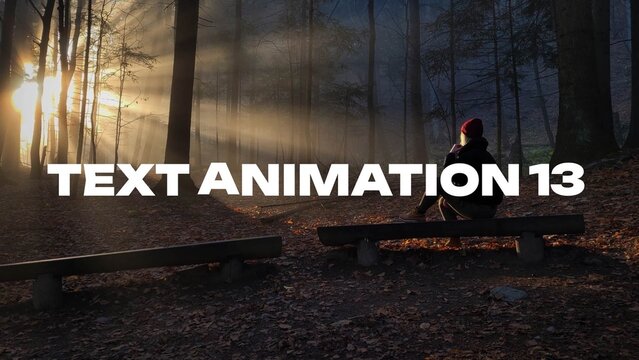 Modern Text Animation 13