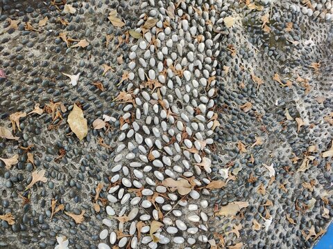 Natural stone flooring (often installed using brushed pebble or flagstone andesite) requires a level surface and a cement-to-sand mortar mix 