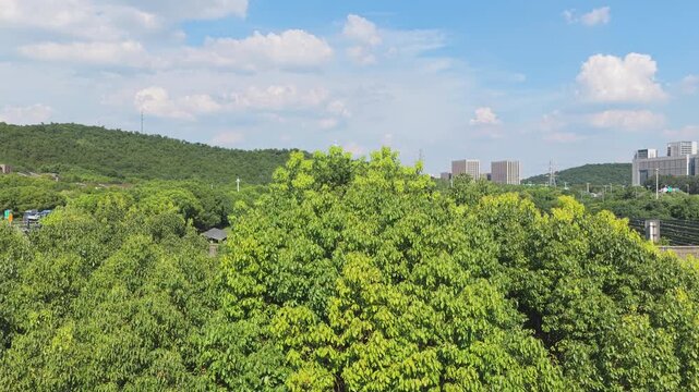 Drone ascending above green treetops to reveal solar panels