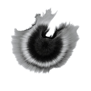 Black ink drop spreading in radial sunburst pattern with feathered edges on white