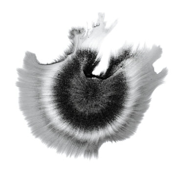 Ink blot with radial chromatography streaks fading to gray on white background