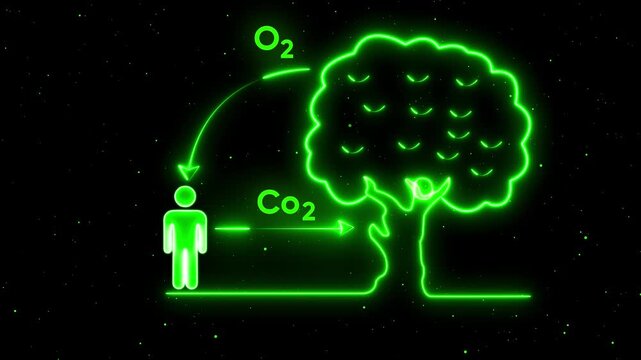 Neon carbon cycle infographic: human co2 and tree oxygen exchange animation