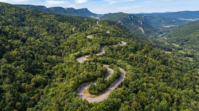 Aerial View of Winding Mountain Road Through Dense Green Forest
