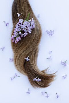 Female long hair with lilac flowers. Closeup, selective focus.