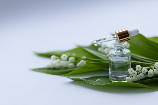 Glass bottle of lily of the valley essential oil with fresh flowers. Closeup