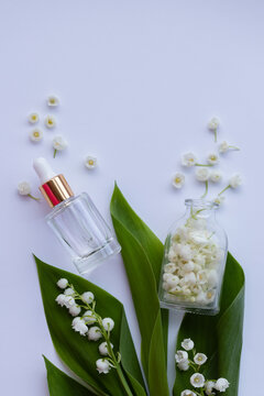 Glass bottle of lily of the valley essential oil with fresh flowers. Copy space.