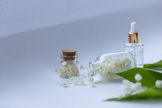 Glass bottle of lily of the valley essential oil with fresh flowers