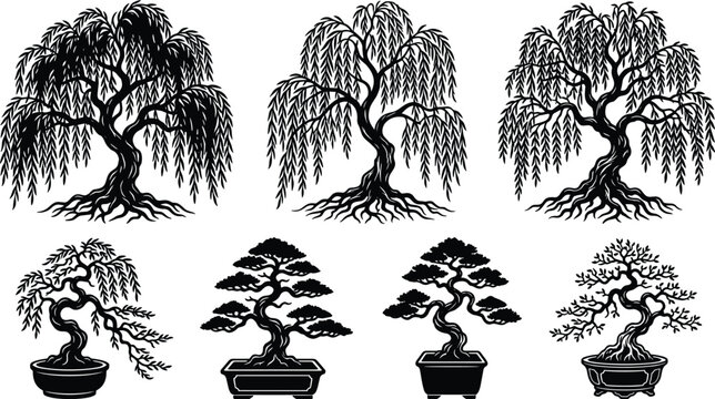 Set of black silhouettes of weeping willow trees and traditional bonsai trees in vector format