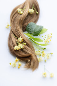 Female hair with yellow linden flowers. Closeup