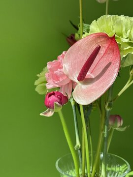 A pale pink anthurium with a burgundy spadix stands among blush and lime carnations, deep pink buds and green stems in a clear glass vase brightly illuminated against a vivid green background indoors