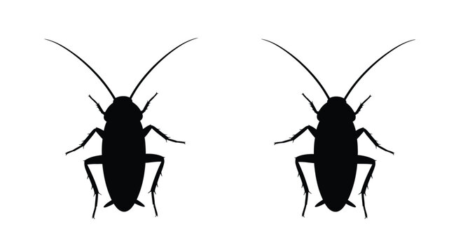 Cockroach Silhouettes On White Background Insect Vector Illustration