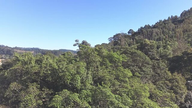 Aerial view of a brazilian rainforest