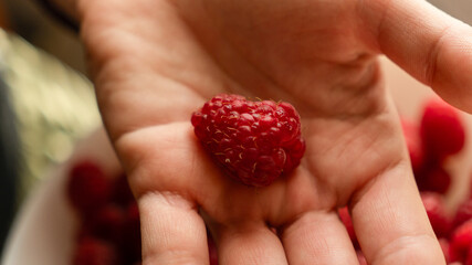 Human hand holding a fresh red raspberry on an open palm over a white bowl filled with ripe berries. © kyrylovasyliev