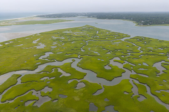 Narrow channels meander through an extensive salt marsh in Pleasant Bay, Cape Cod. Marshes provide critical habitat for many birds, fish, and marine invertebrates to feed, mate, and nest.