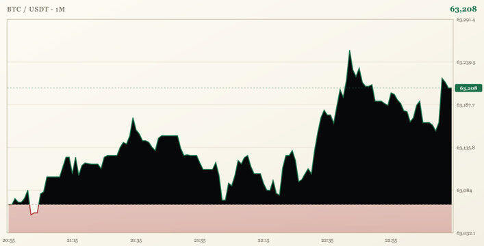 Bitcoin price chart showing market volatility and fluctuations in btcusdt trading pair on a oneminute timeframe