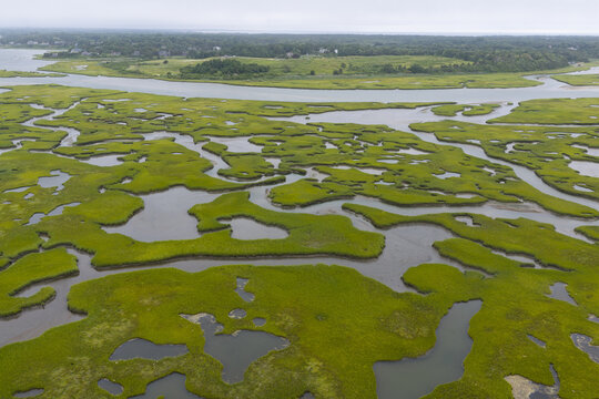Narrow channels meander through an extensive salt marsh in Pleasant Bay, Cape Cod. Marshes provide critical habitat for many birds, fish, and marine invertebrates to feed, mate, and nest.