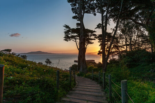 Beautiful sunrise on Lands End trail with cypress trees and ocean view in San Francisco