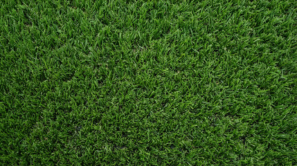 Fototapeta premium Full Frame Background of Lush Green Synthetic Artificial Grass Turf