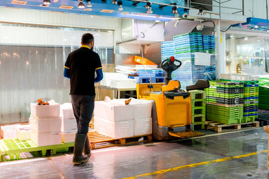 Fishmonger select fish at wholesale market warehouse