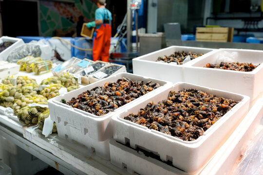 Fresh shellfish displayed at a wholesale fish market