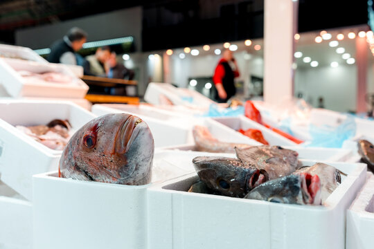 Fresh fish display at a busy indoor seafood market