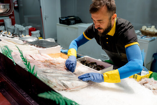 Fishmonger prepare fresh seafood display before shop opening
