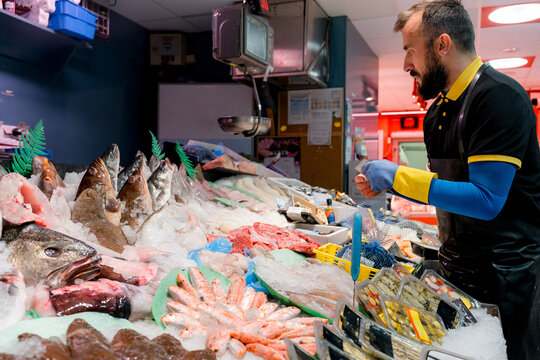 Fishmonger arranging fresh seafood display at fish shop