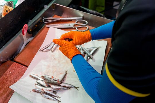 Fishmonger prepare fresh fish at market counter